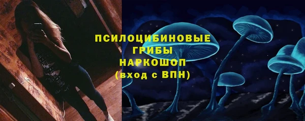ешки Лиски