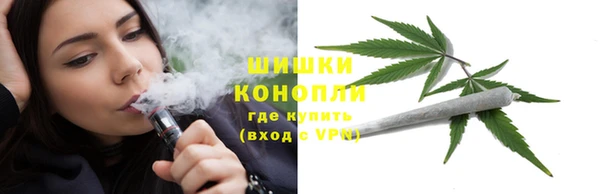 PSILOCYBIN Лихославль