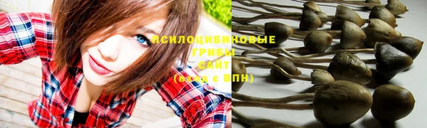 PSILOCYBIN Лихославль