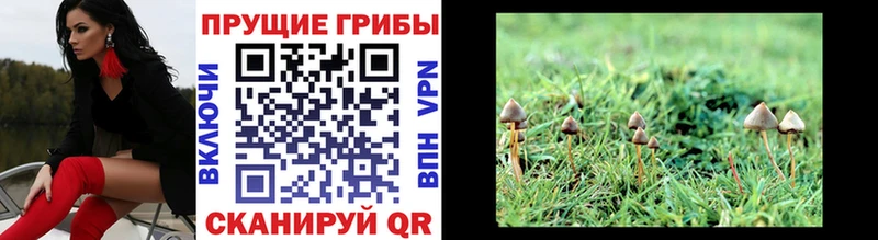 Псилоцибиновые грибы мухоморы  Бирюсинск 