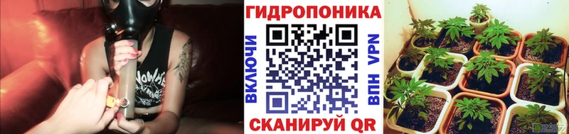 hydra вход  Бирюсинск  Бошки Шишки марихуана 